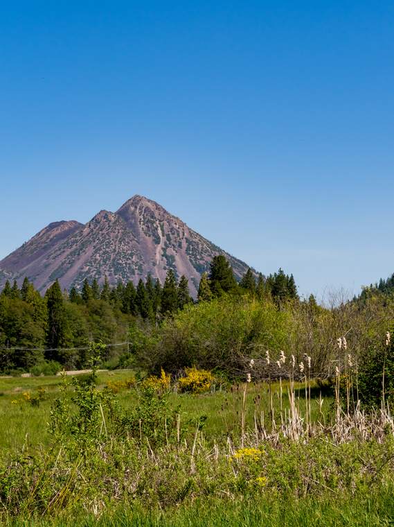 Black Butte over the meadow.
